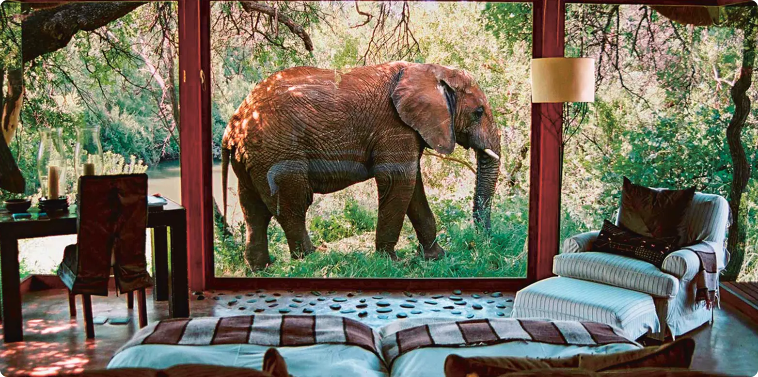 Marketingagentur für Reisebranche - Netframe Studios