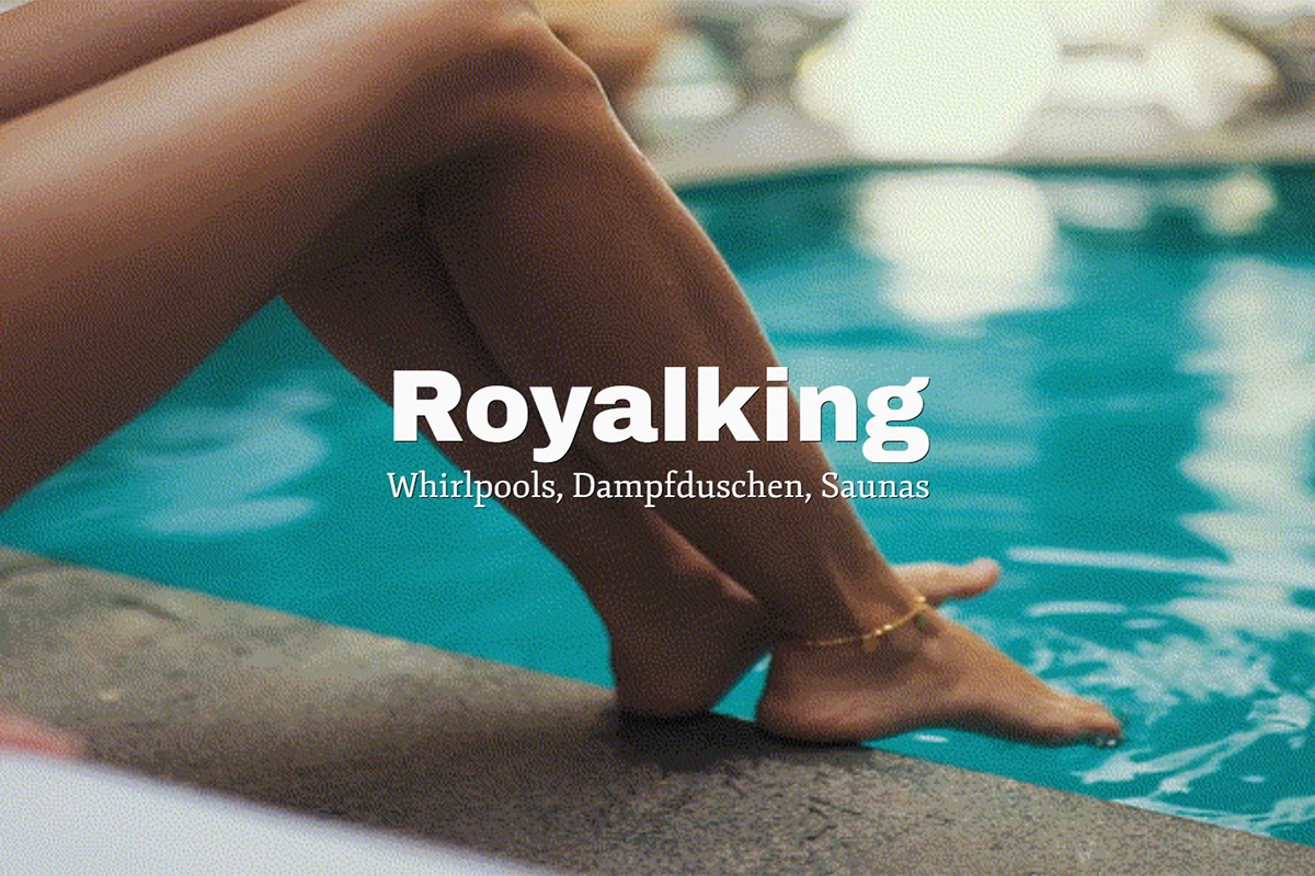 Performance Marketing Royalking AG mit Rekordumsatz